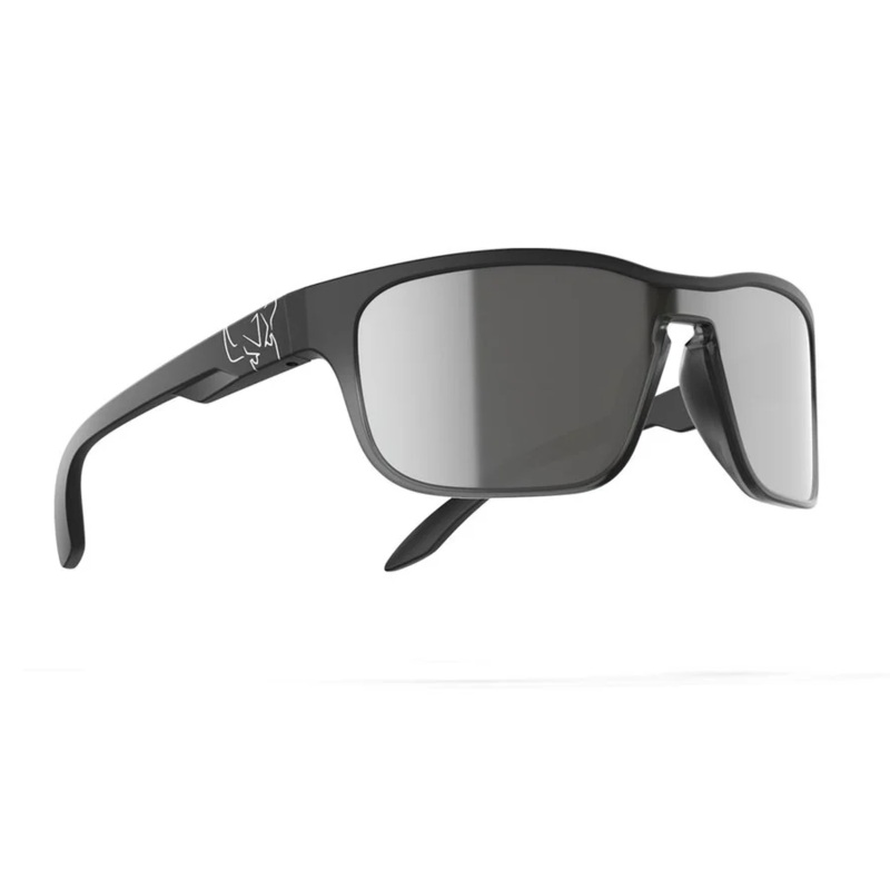 WIP Water Protection – Wingy Sunglasses