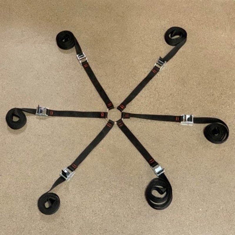 Cargo Ant